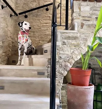 Lazaros Stonehouse Pensionat Pano Lefkara