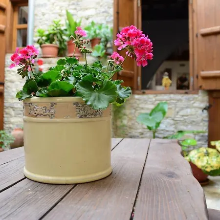 Lazaros Stonehouse 4* Πάνω Λεύκαρα