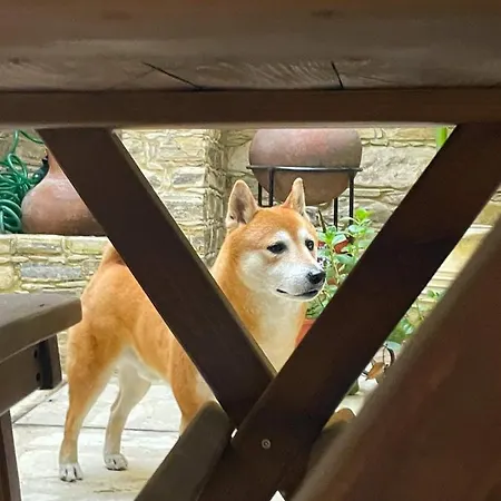 Lazaros Stonehouse 4*