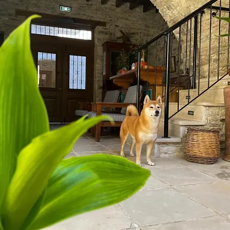 Lazaros Stonehouse Guest house Pano Lefkara