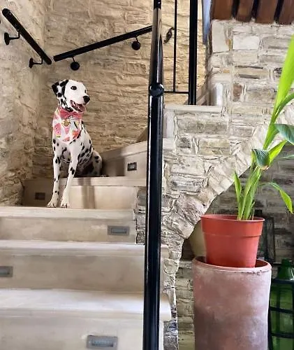 Lazaros Stonehouse Penzion Pano Lefkara