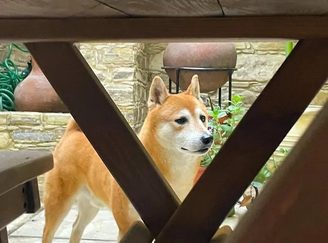 Lazaros Stonehouse 4*