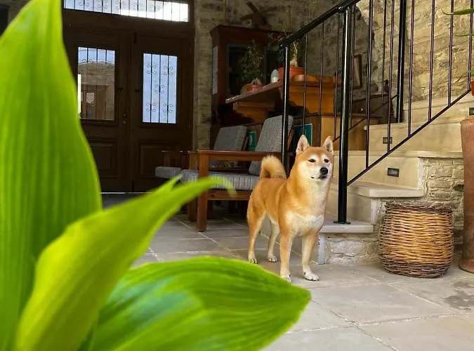 Lazaros Stonehouse Penzion Pano Lefkara